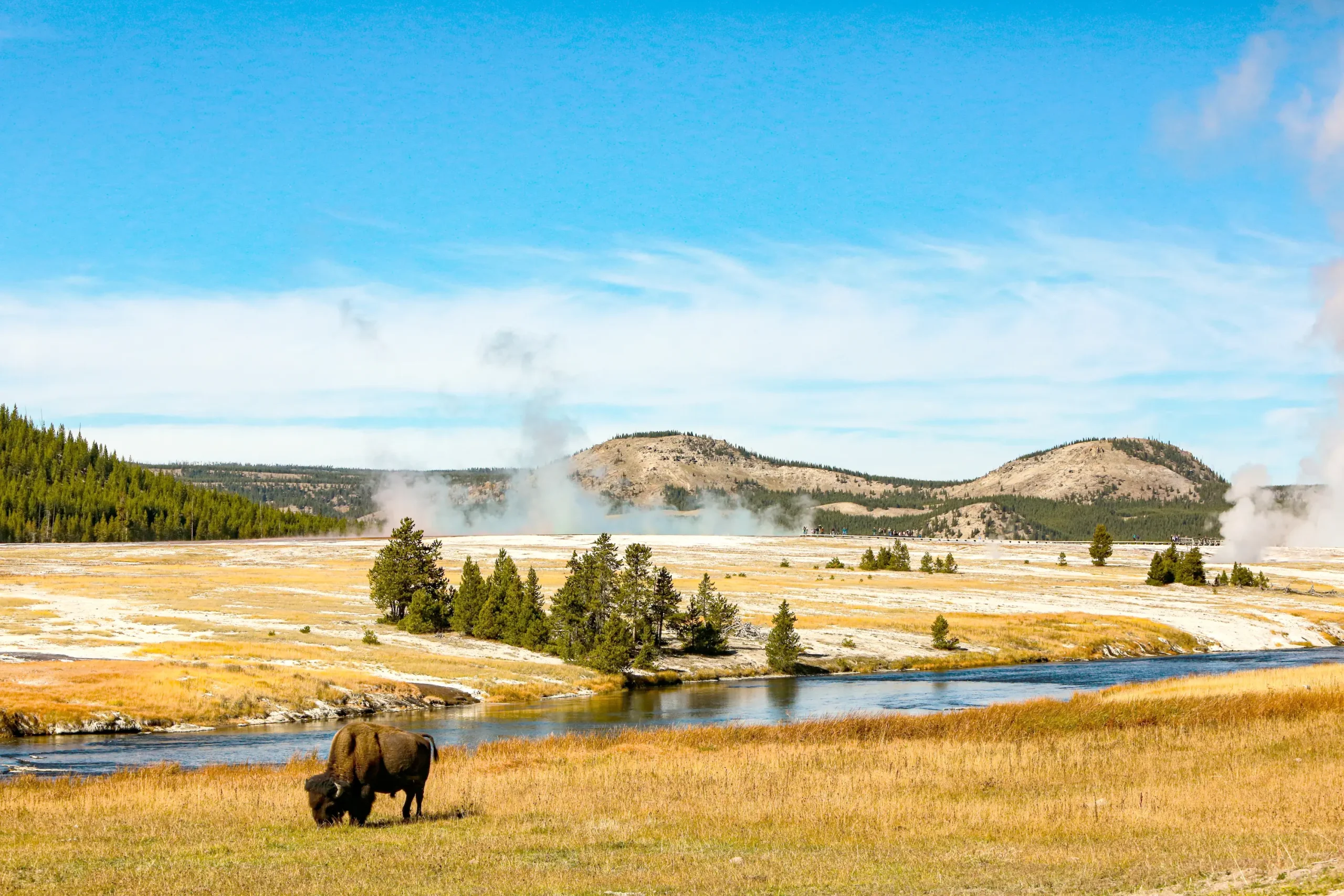 shutterstock_2221562255