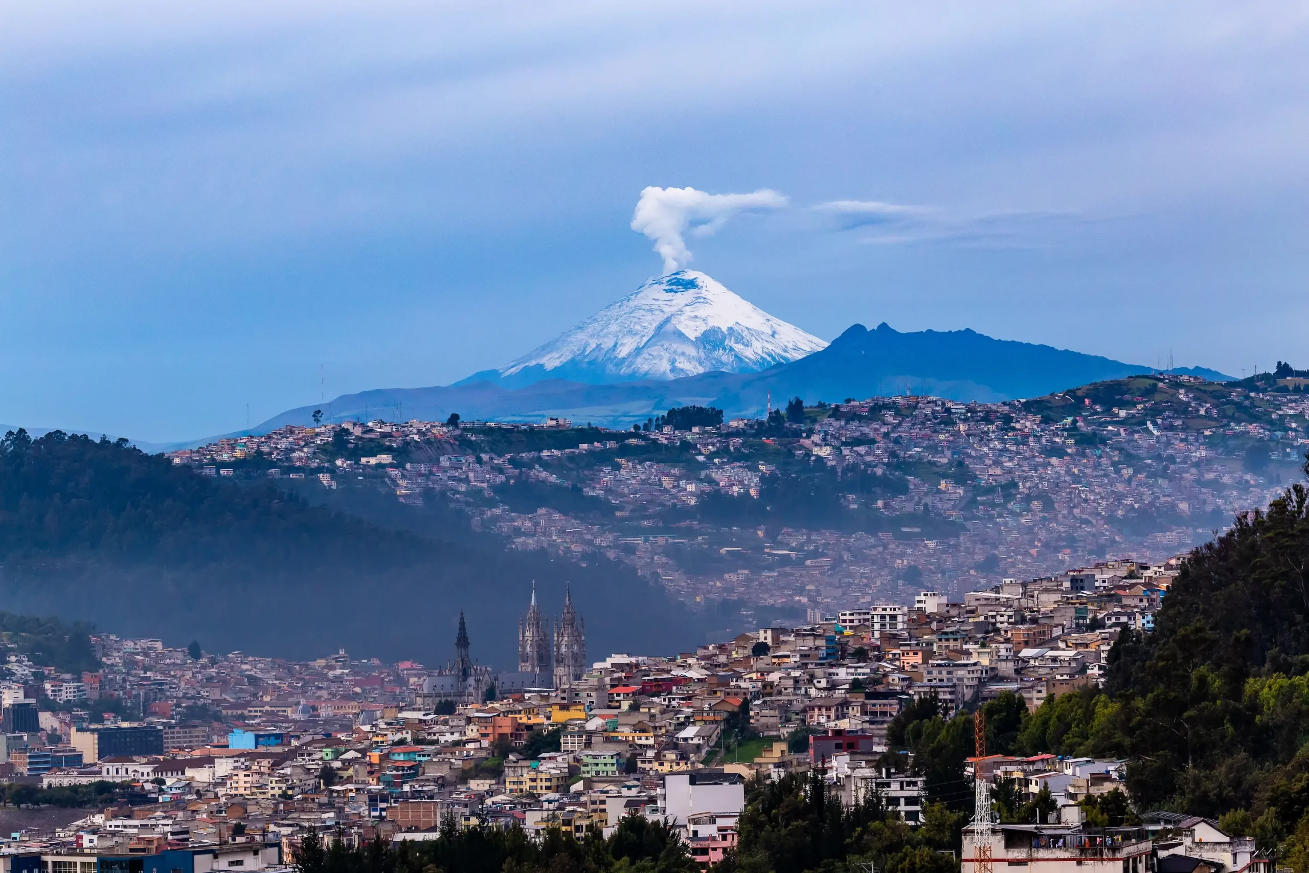 shutterstock_2300610037