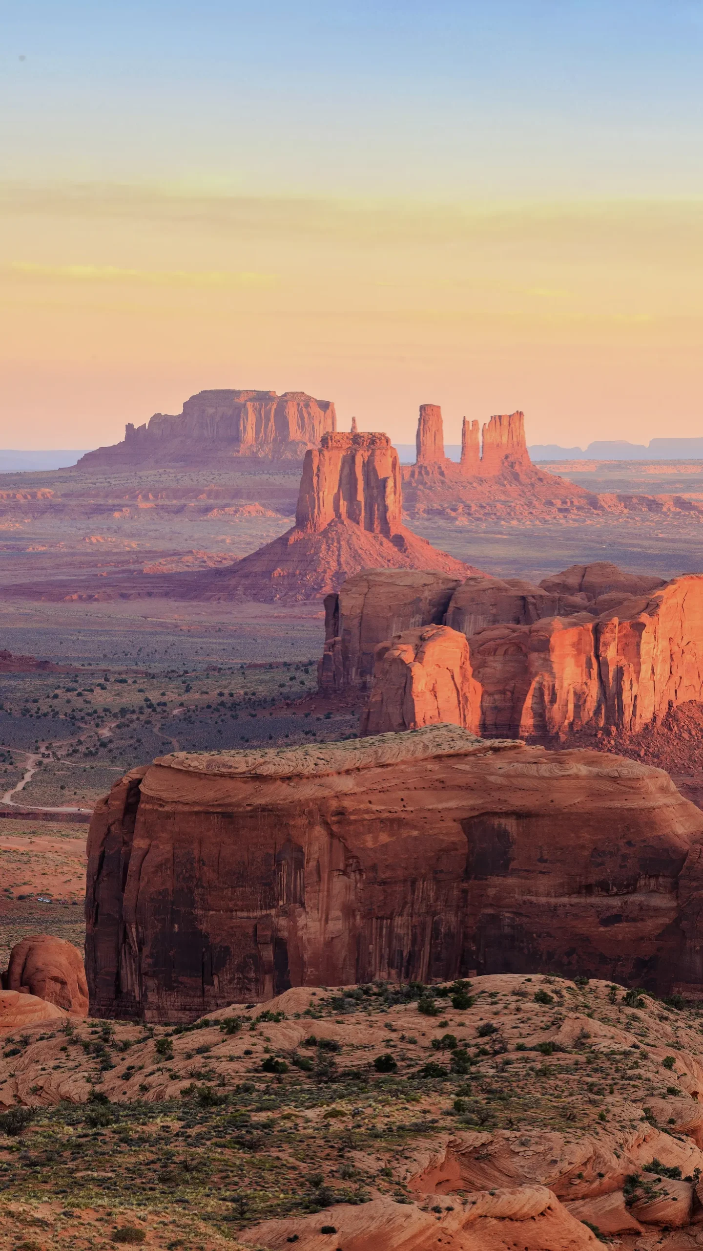 shutterstock_2471104607