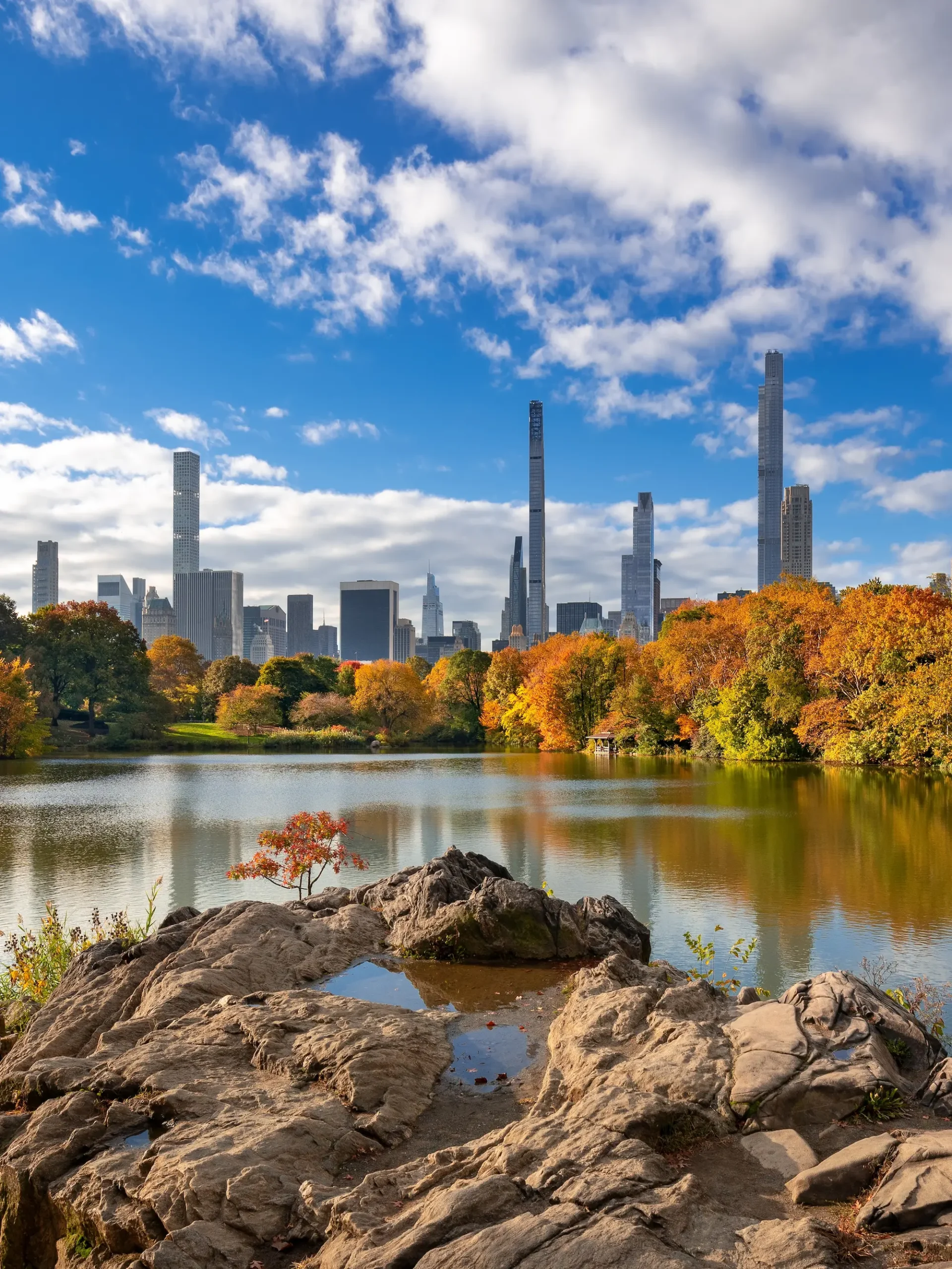 shutterstock_2498617931