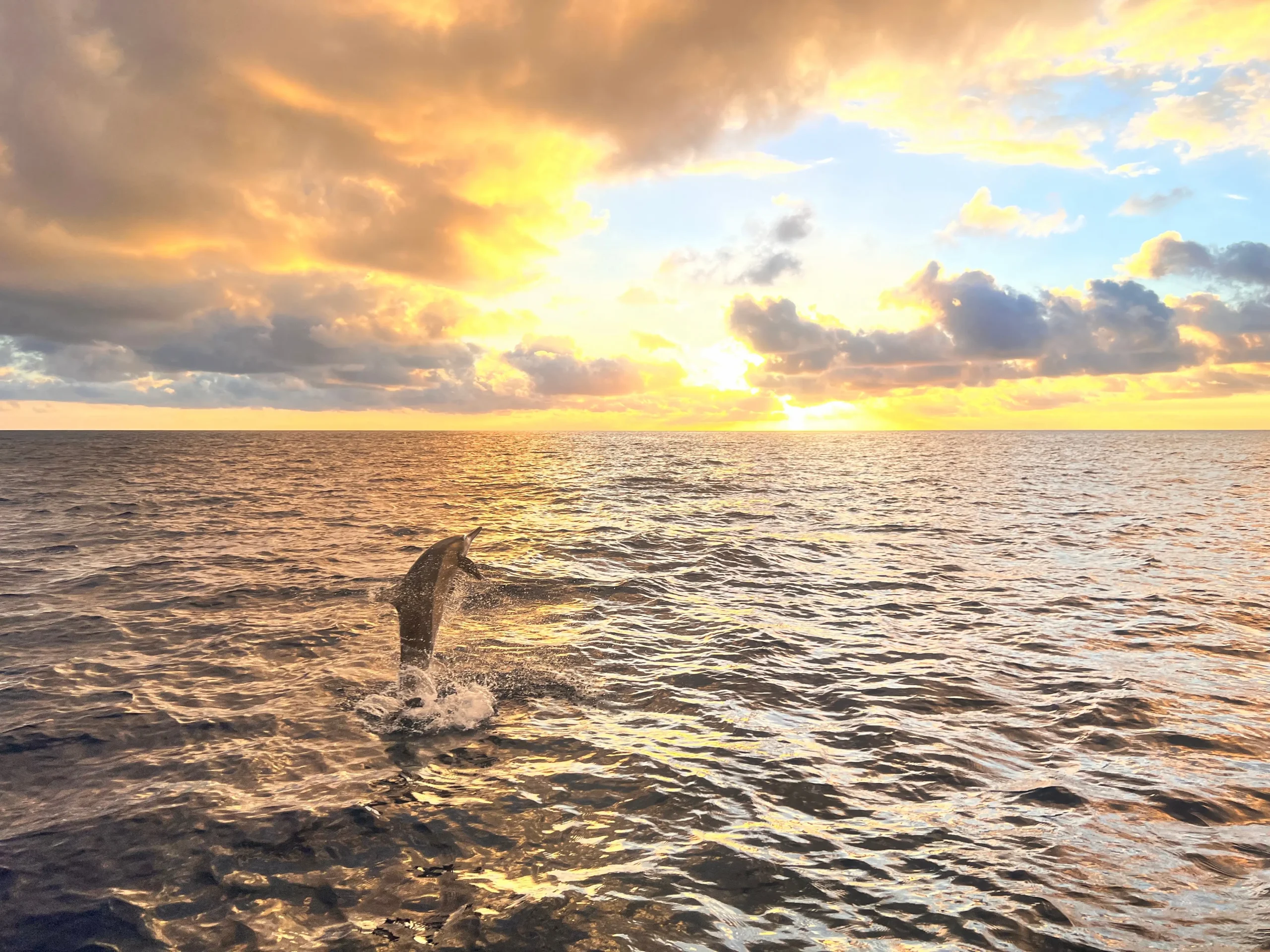 Avvistamento dei delfini alla Tiputa Pass, spettacolo unico al tramonto.