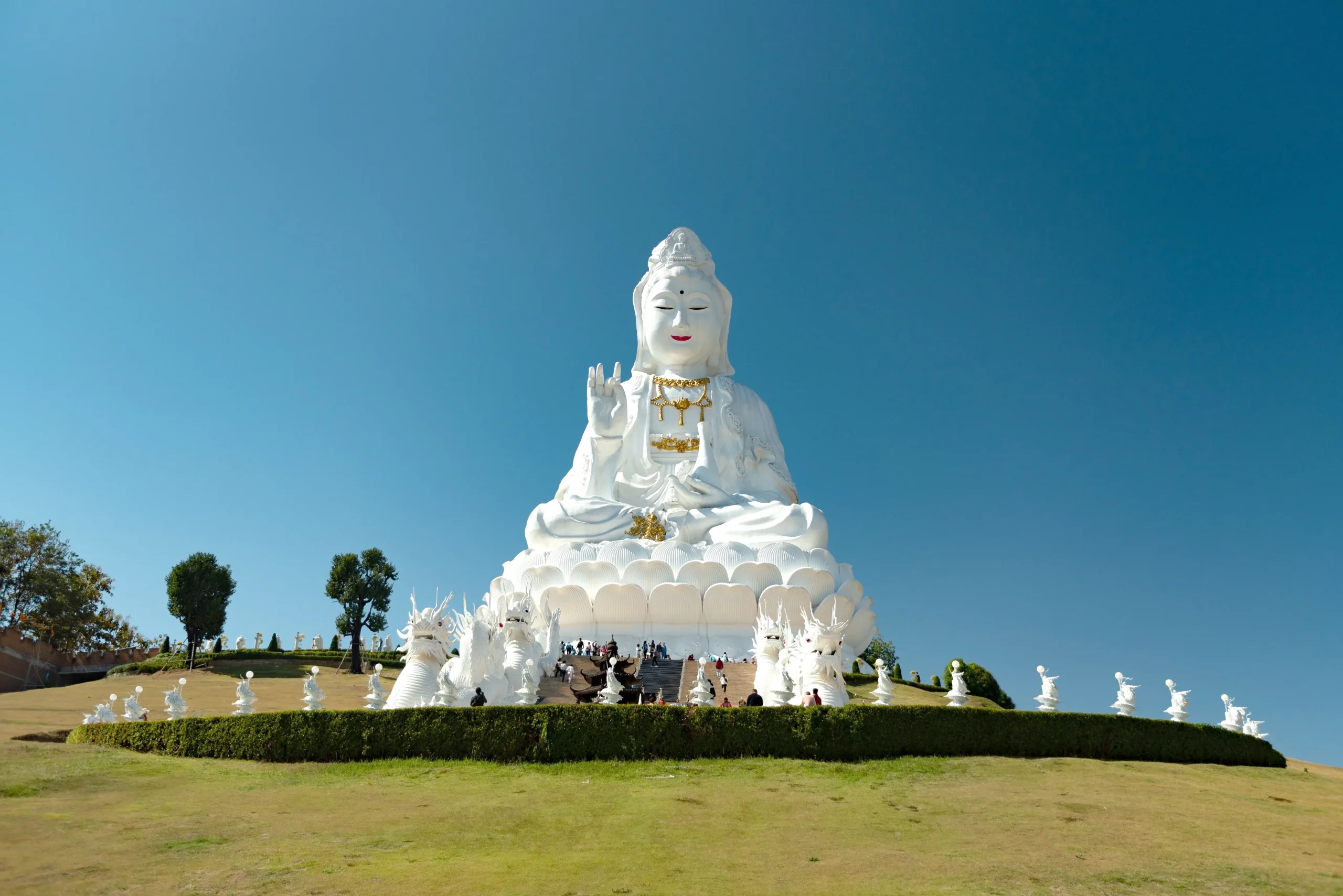 shutterstock_2563822545