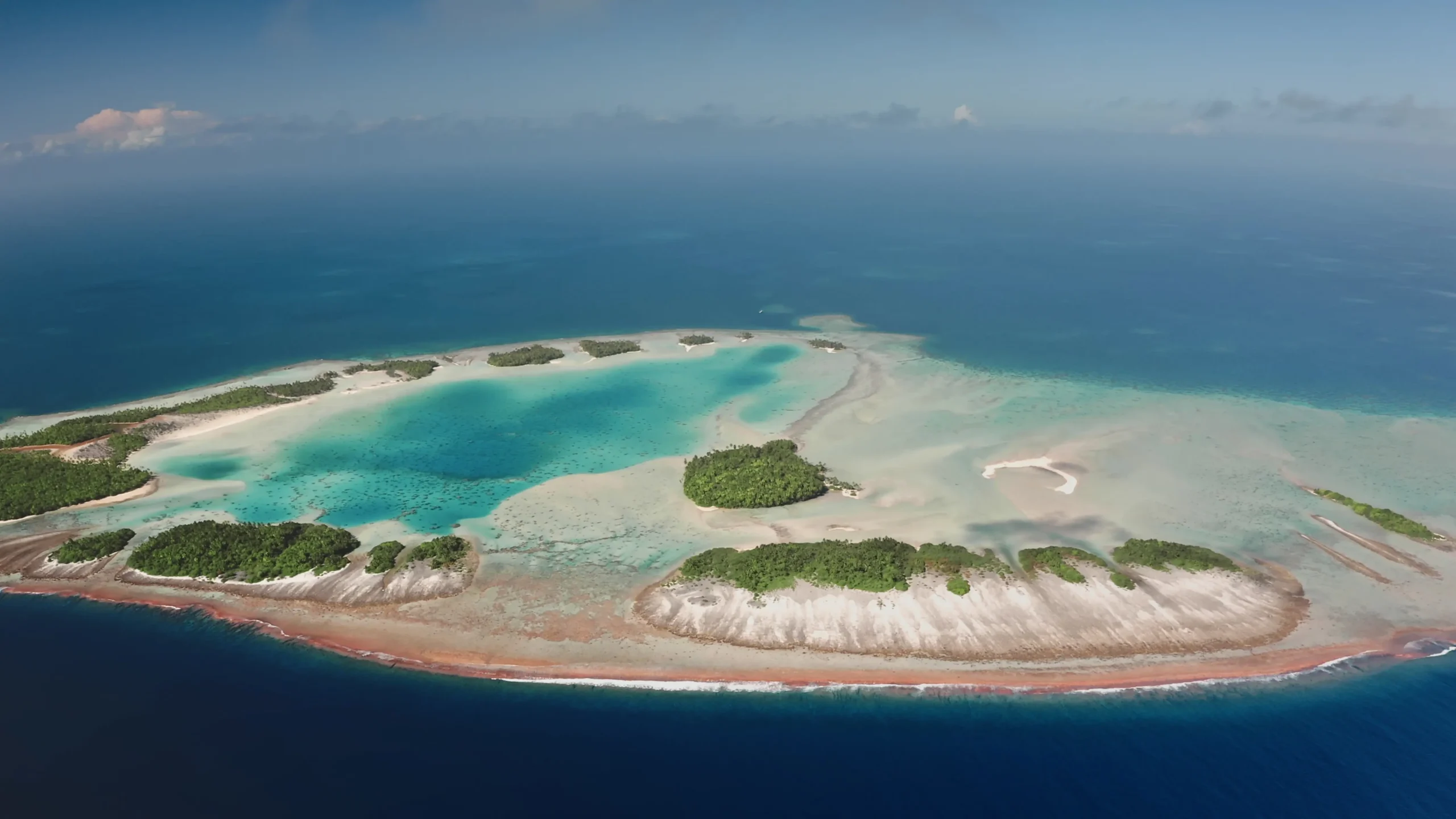 Bird Island e le spiagge dell’area orientale
