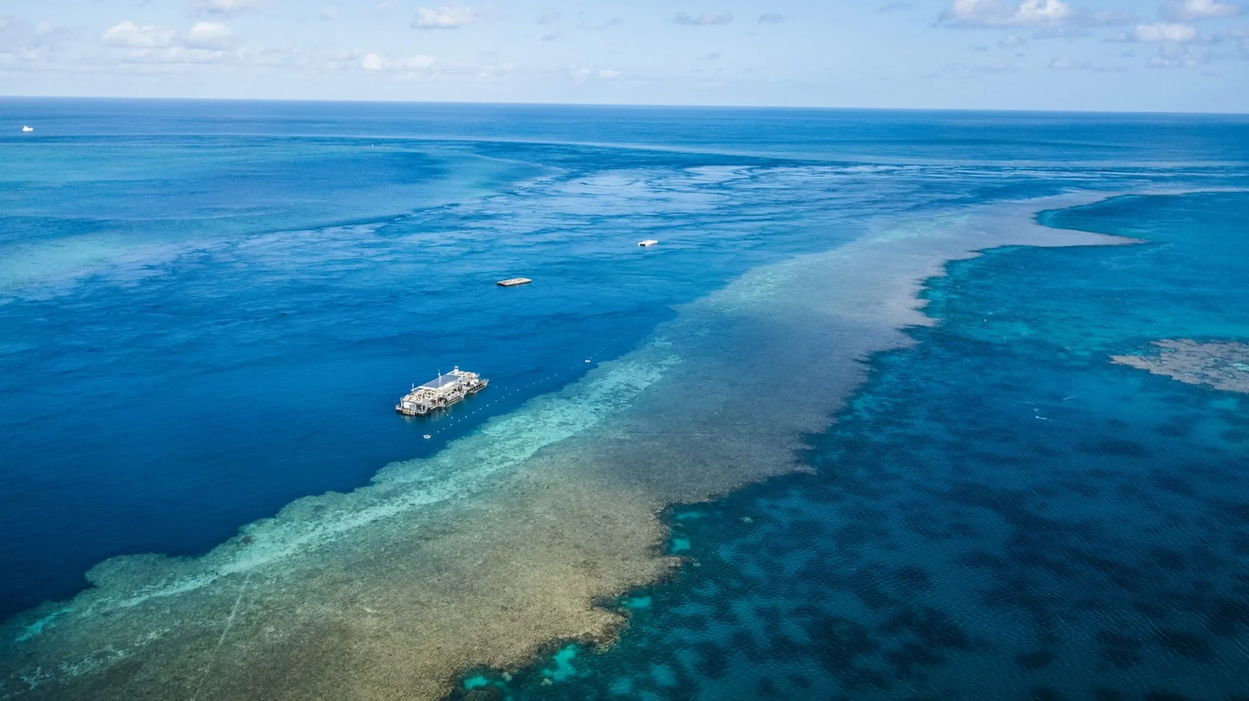 Pernottamento unico sulla piattaforma del Reef sotto un cielo stellato