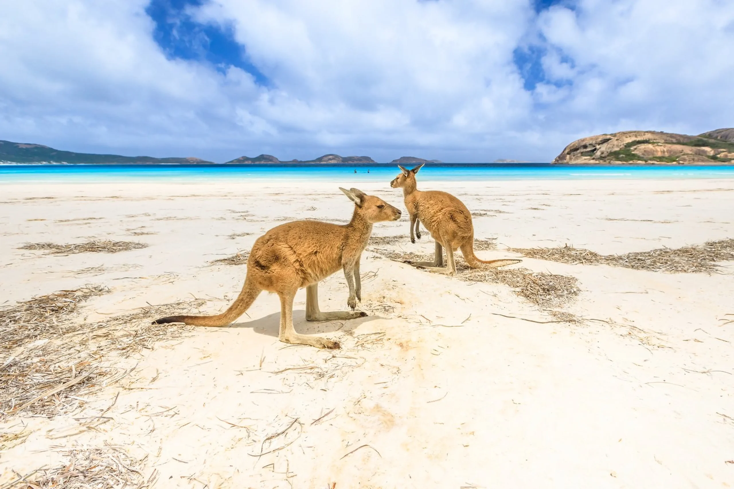 Pernottare in una esclusiva riserva a Kangaroo Island