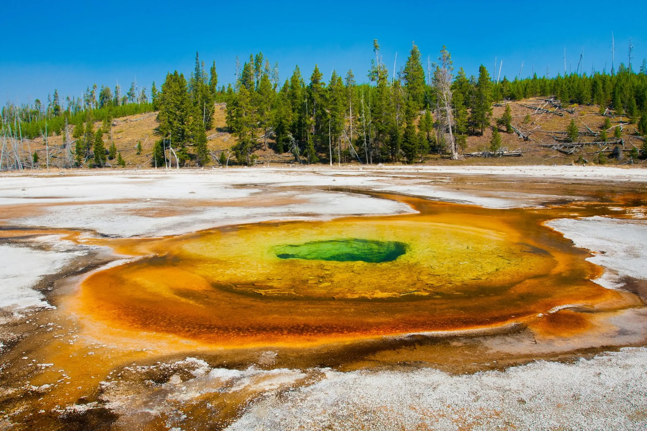 Yellowstone e Grand Teton