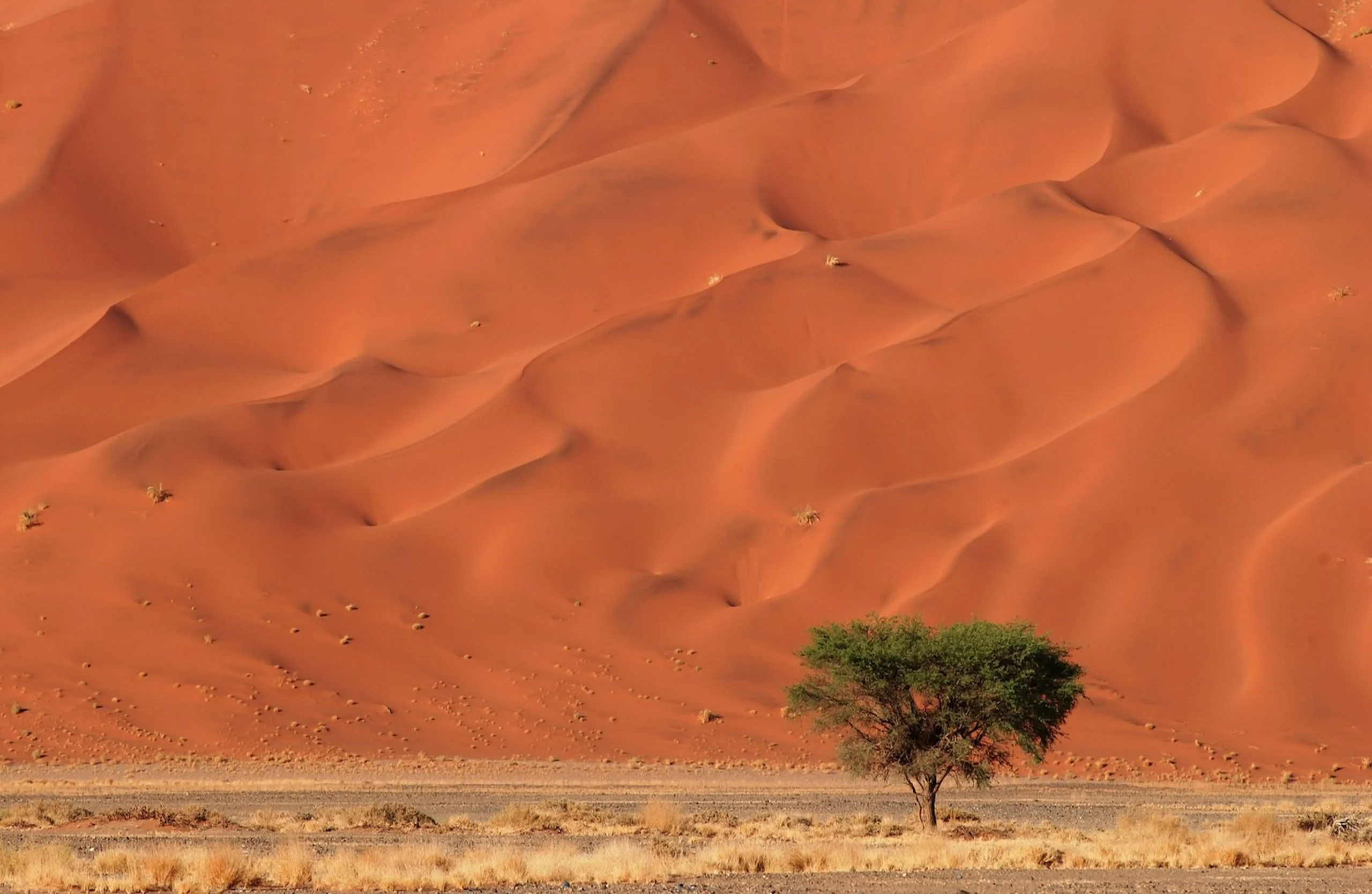 Le dune di Sossusvlei