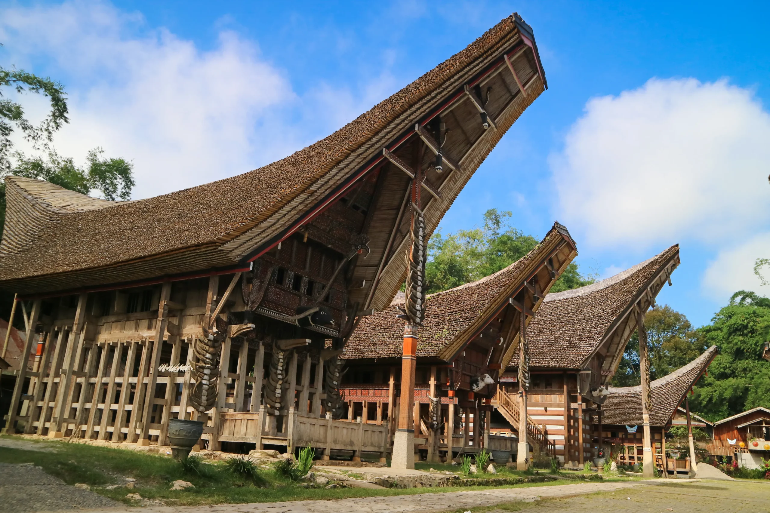 La cultura dei Toraja