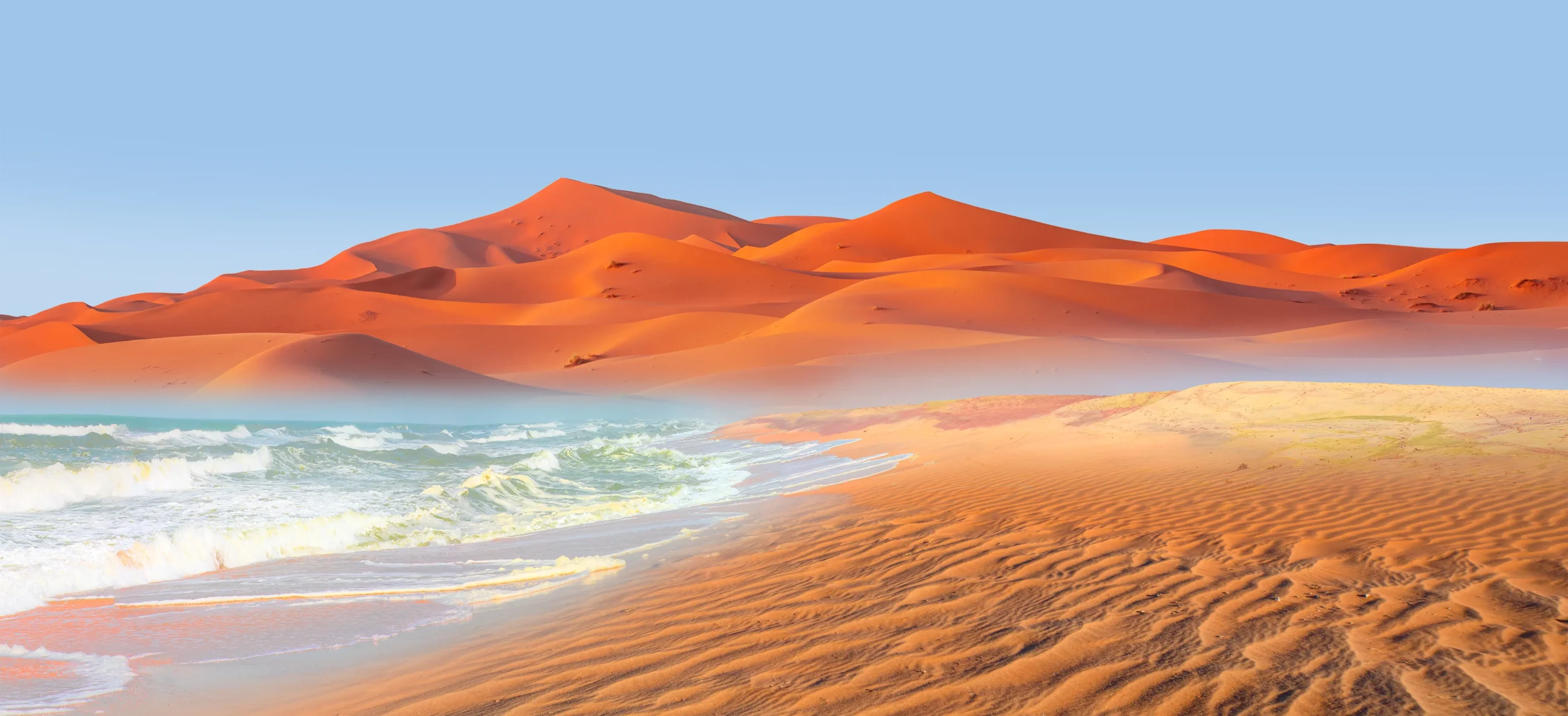 Tra oceano e deserto: da Swakopmund alla Skeleton Coast