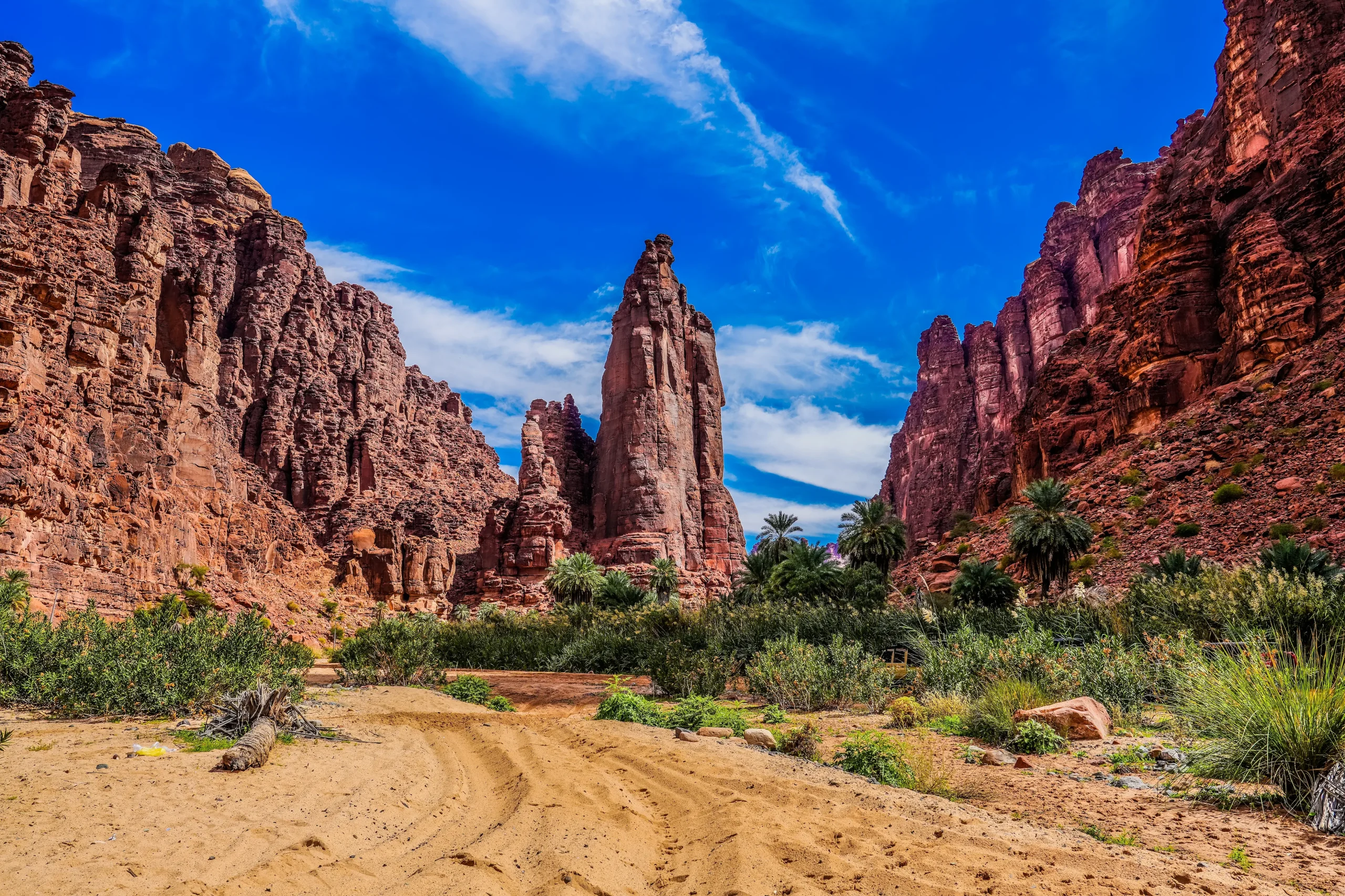 La suggestiva Disah Valley tra canyon, palmeti e montagne scolpite dal vento.