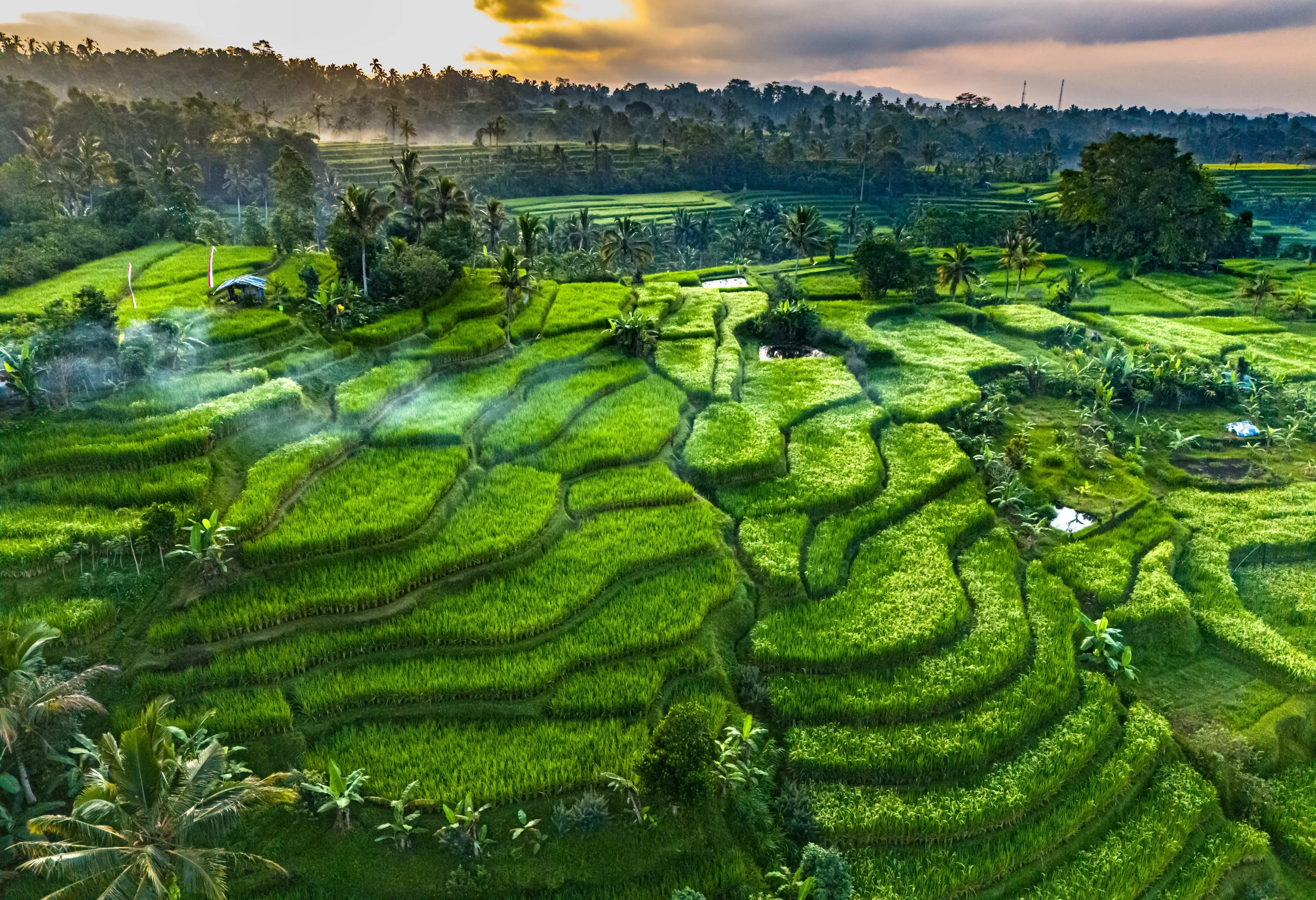 Paesaggi indimenticabili: coste tropicali, vulcani, foreste sacre e montagne