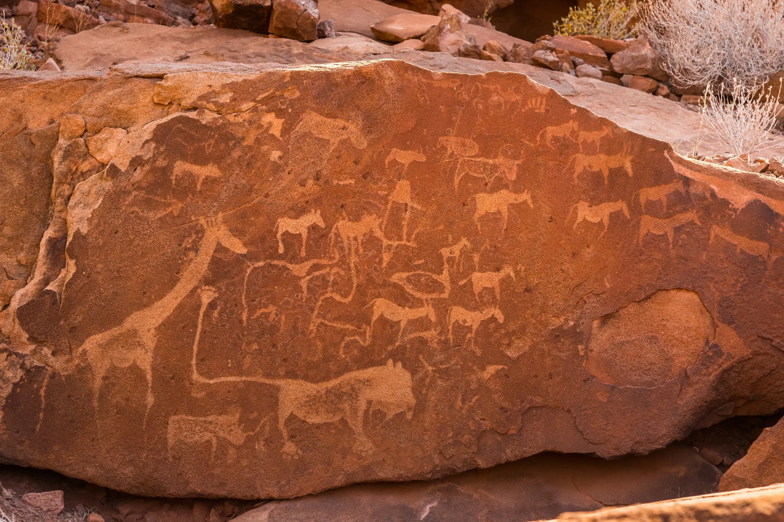 Le incisioni rupestri di Twyfelfontein