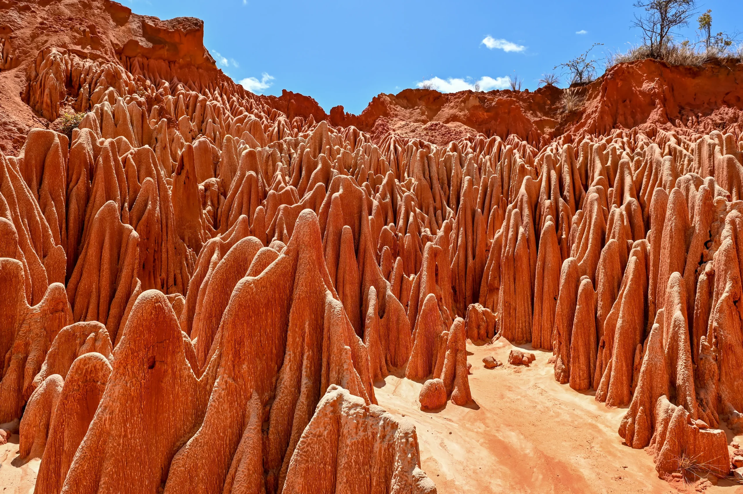 Natura straordinaria tra Montagne d’Ambre, Tsingy Rouge
