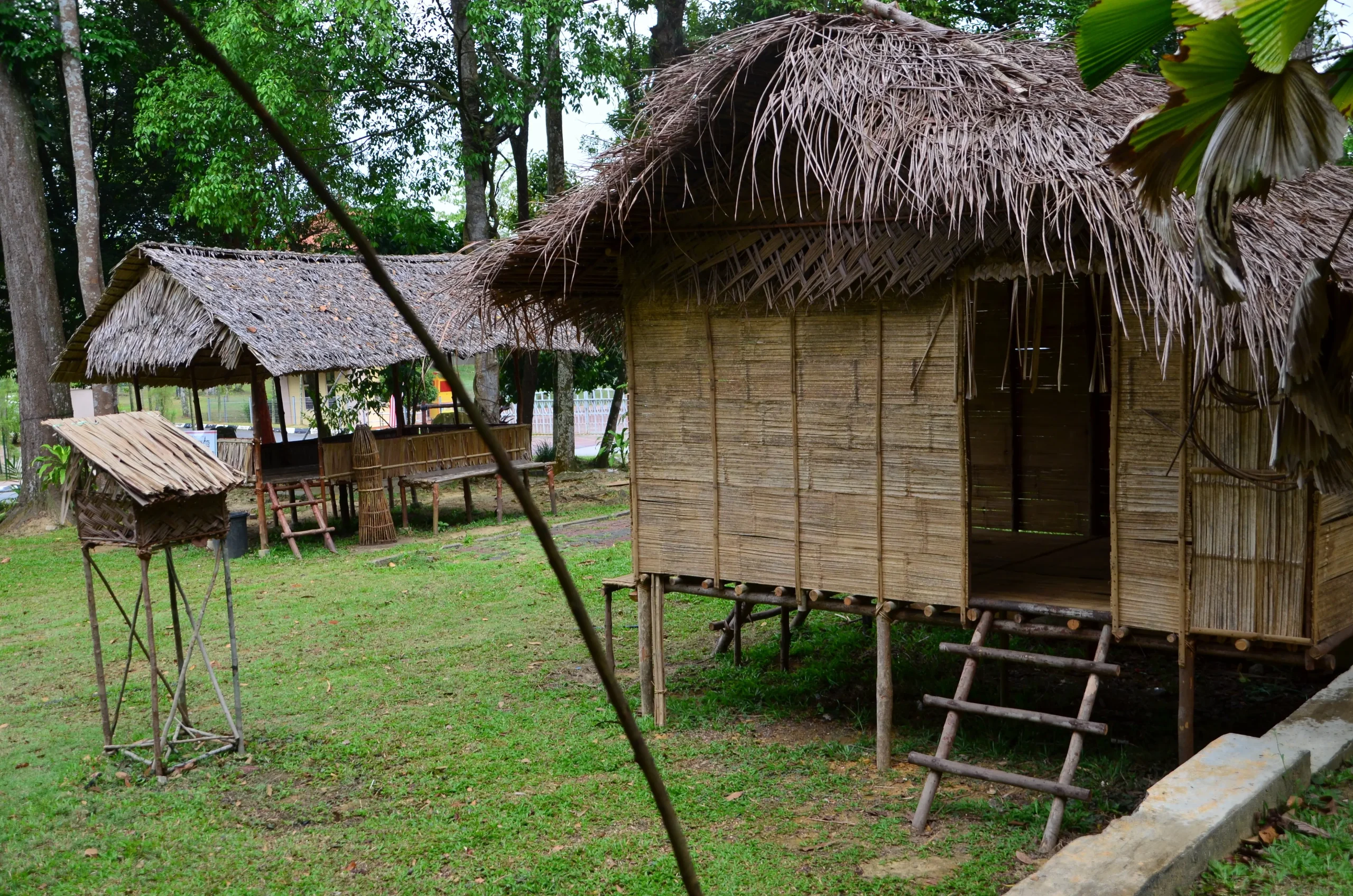 Visita ad un villaggio degli Orang Asli