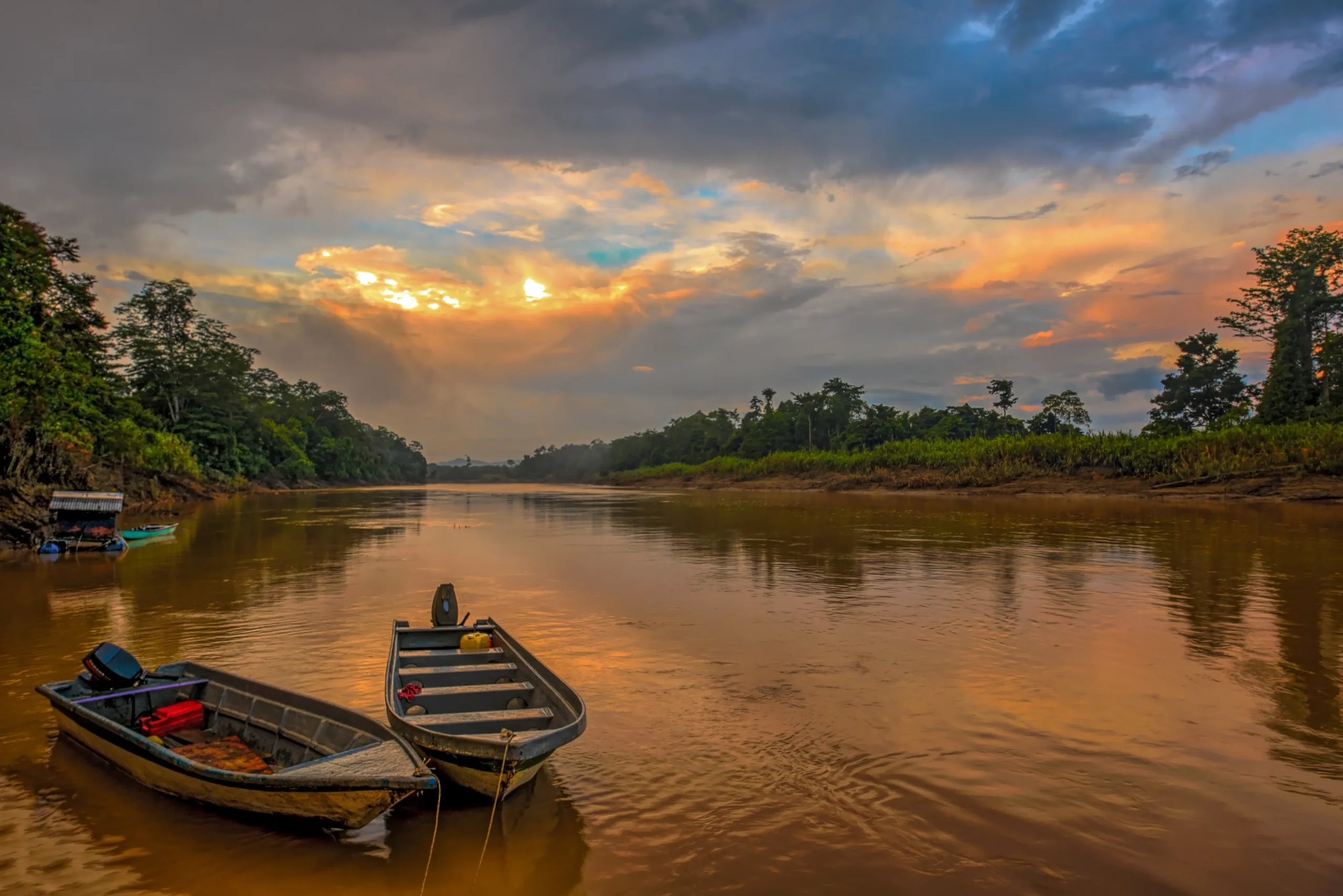 Crociere fluviali sul fiume Kinabatangan