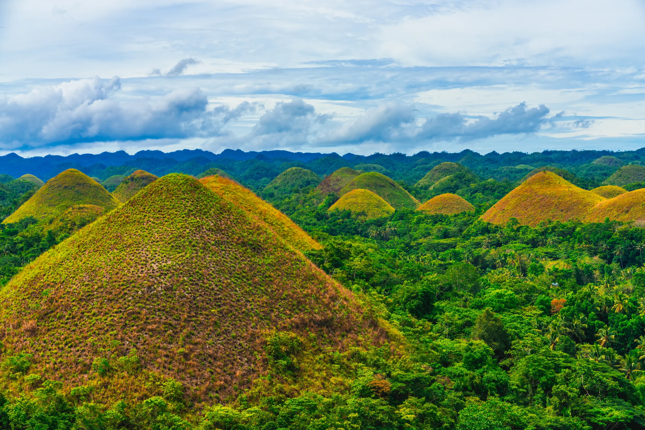 Bohol e le Chocolate Hills, tra natura sorprendente e crociera sul fiume Loboc