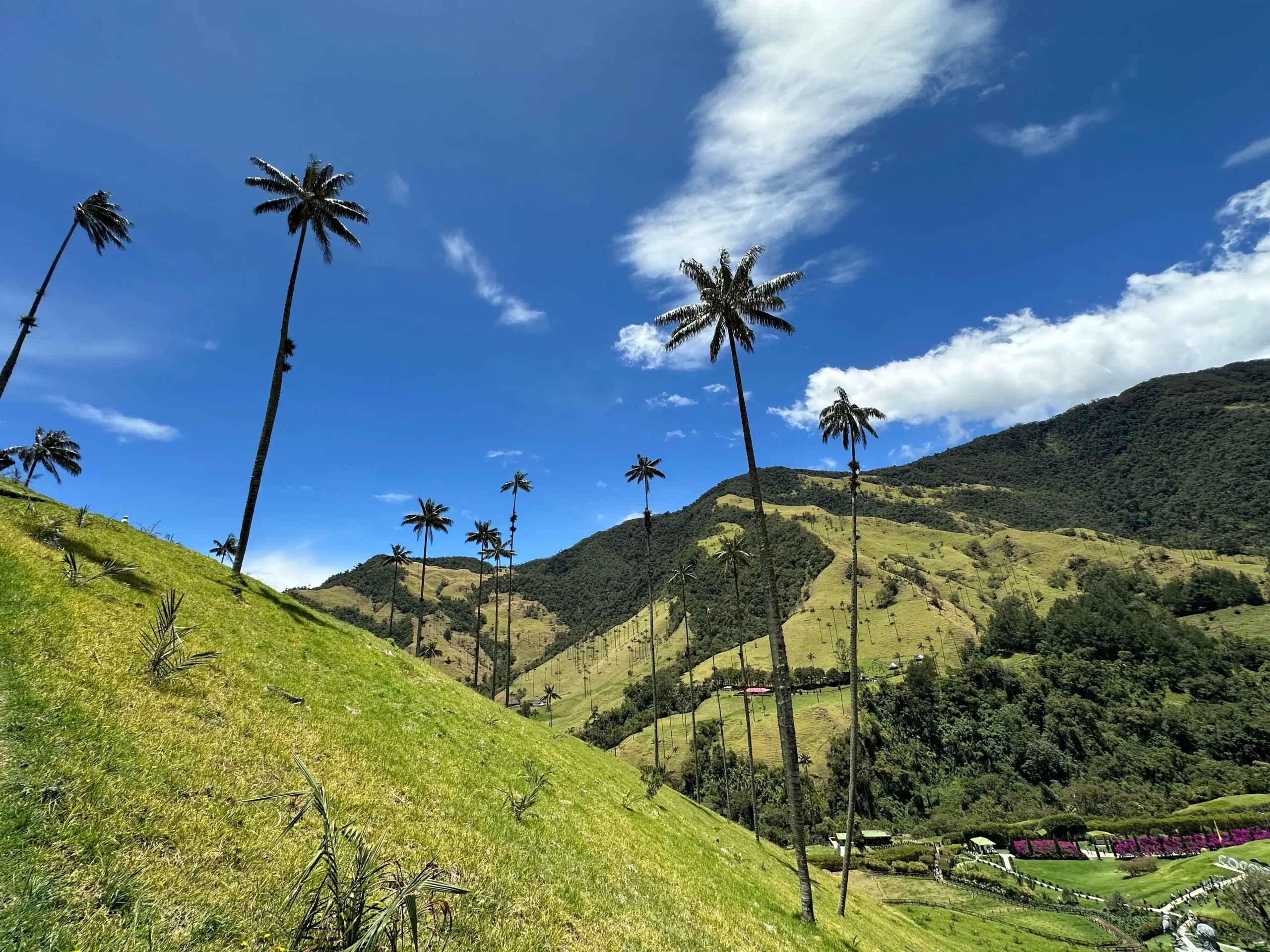 La valle del Cocora e il Parco nazionale Los Nevados