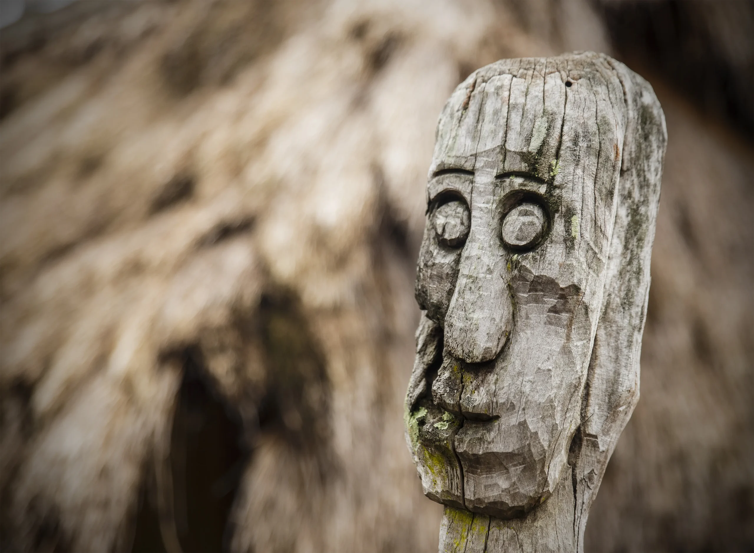 Esperienze autentiche tra Sagada e Bontoc, tra tradizioni tribali e cultura locale