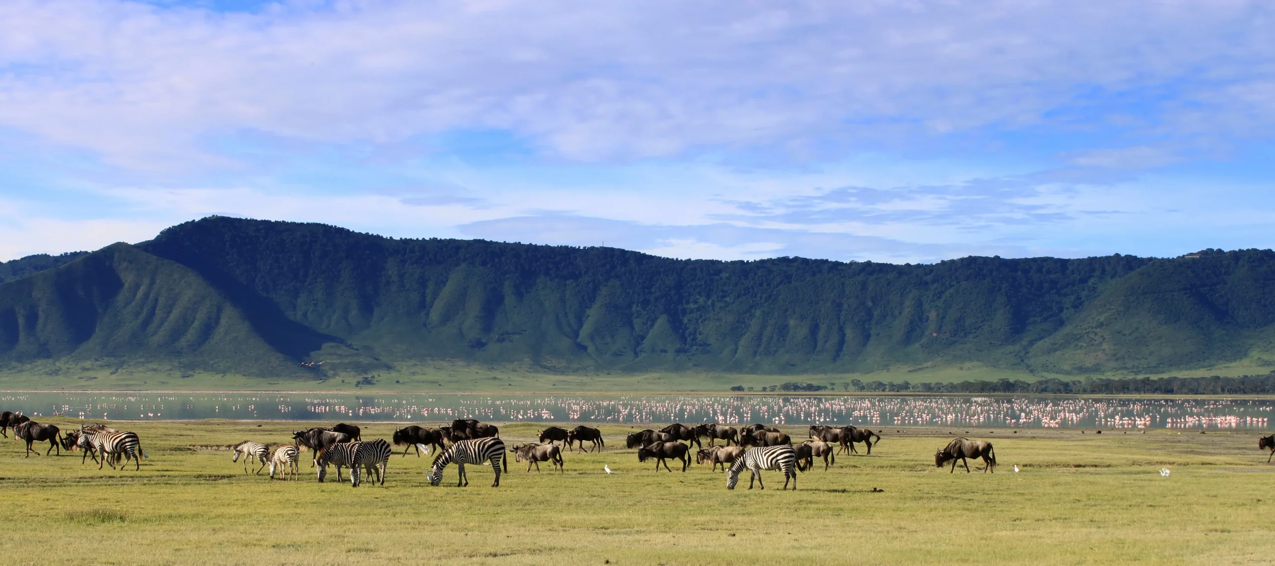 Il cratere di Ngorongoro, caldera vulcanica unica al mondo