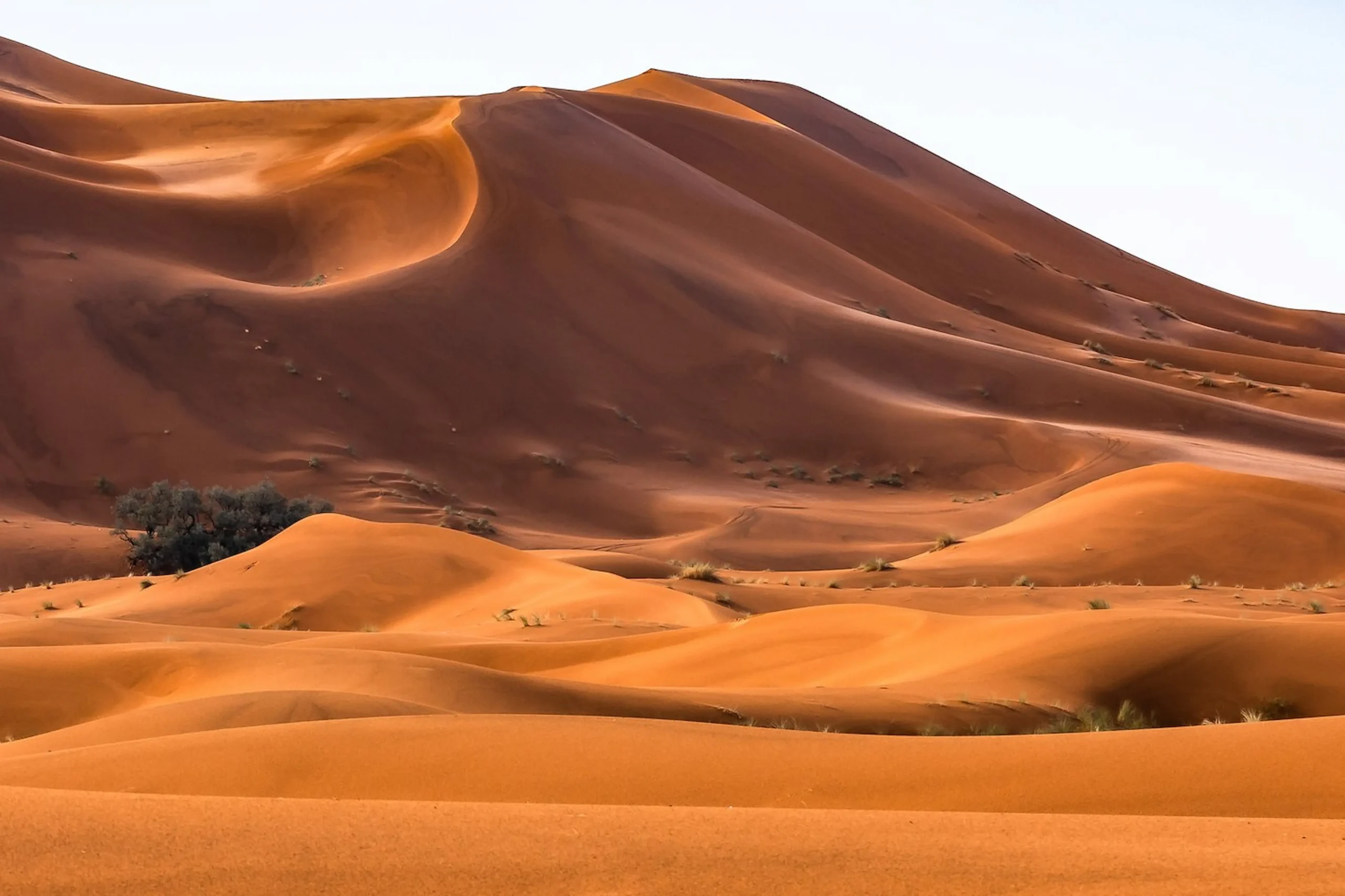 L'incantevole deserto del Sahara