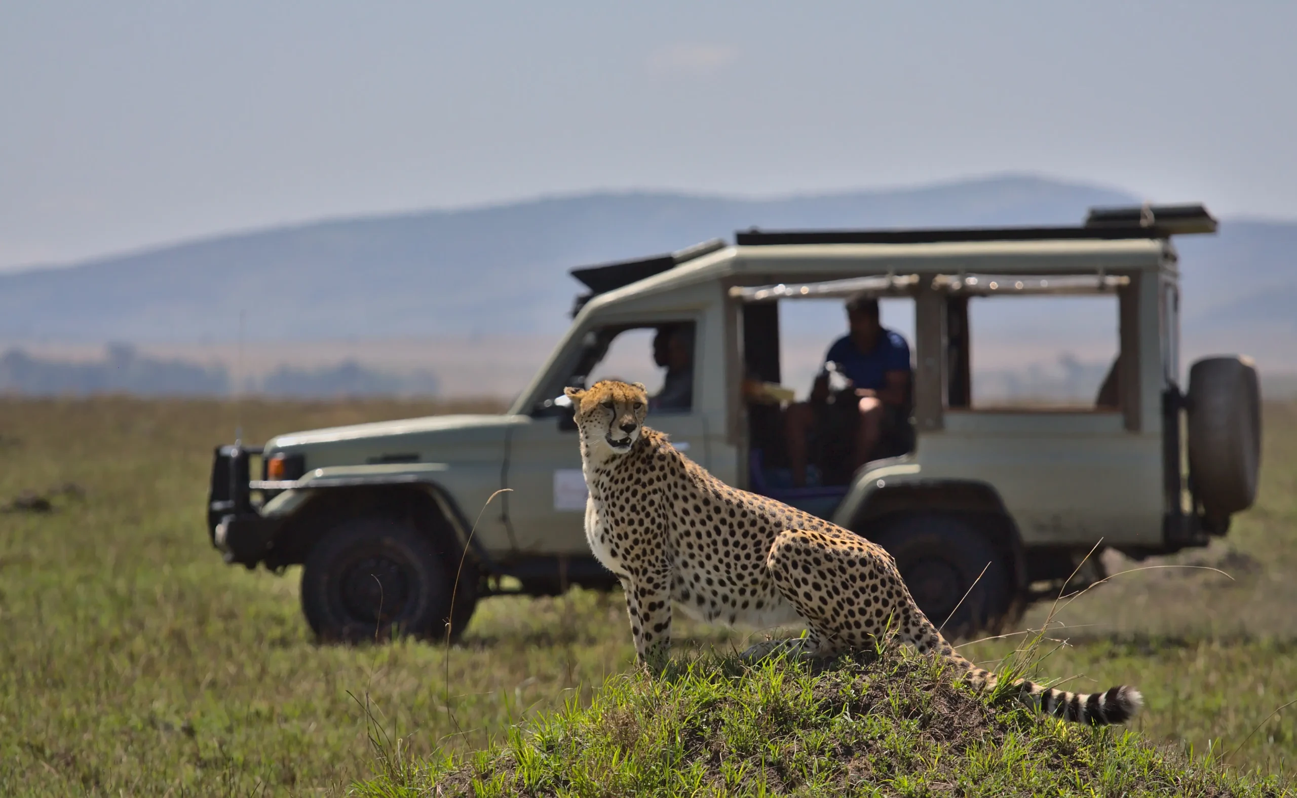 Perfetto equilibrio tra safari avventura e relax tropicale in Kenya
