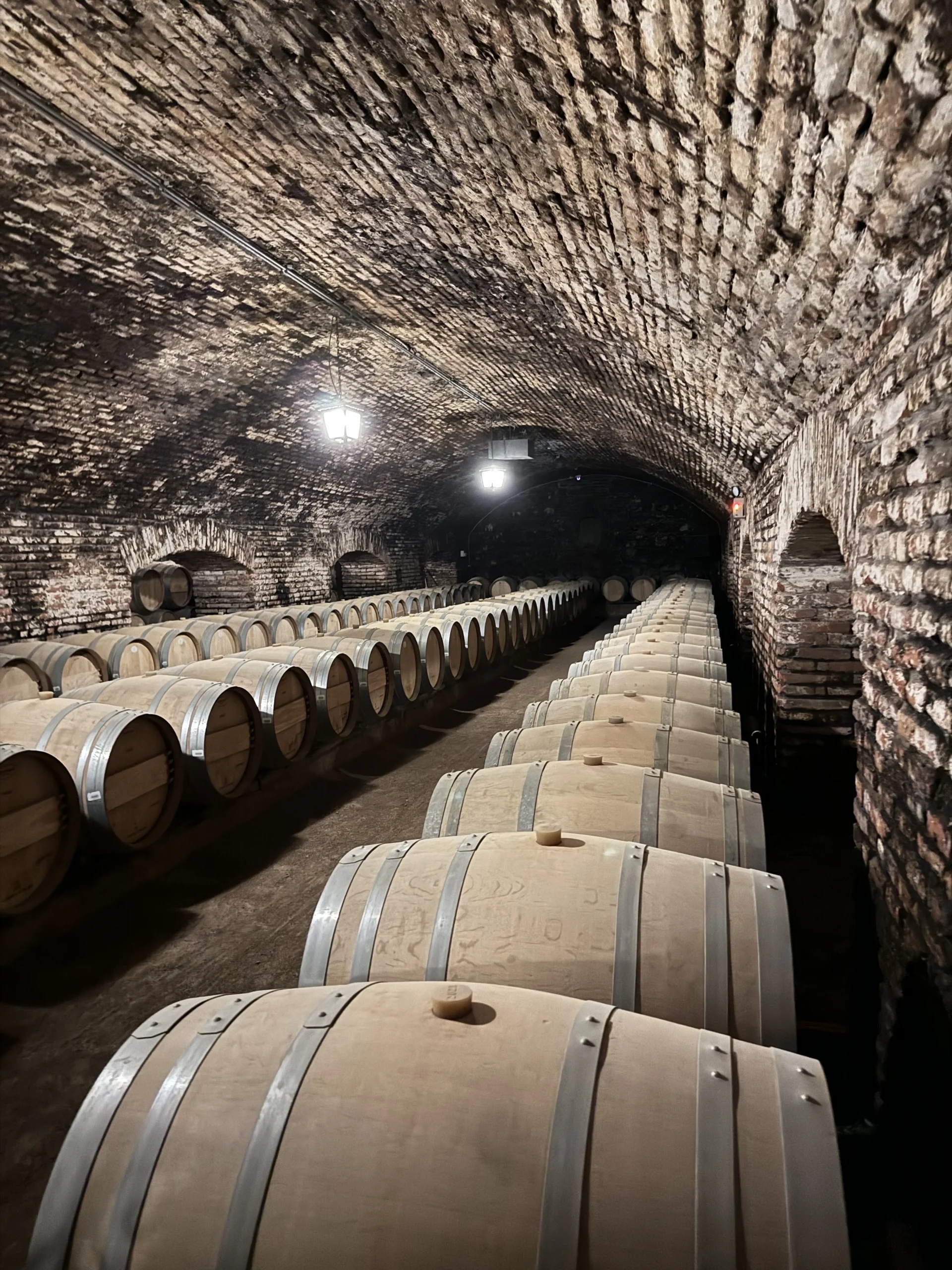 Esclusiva azienda vinicola Concha Y Toro 