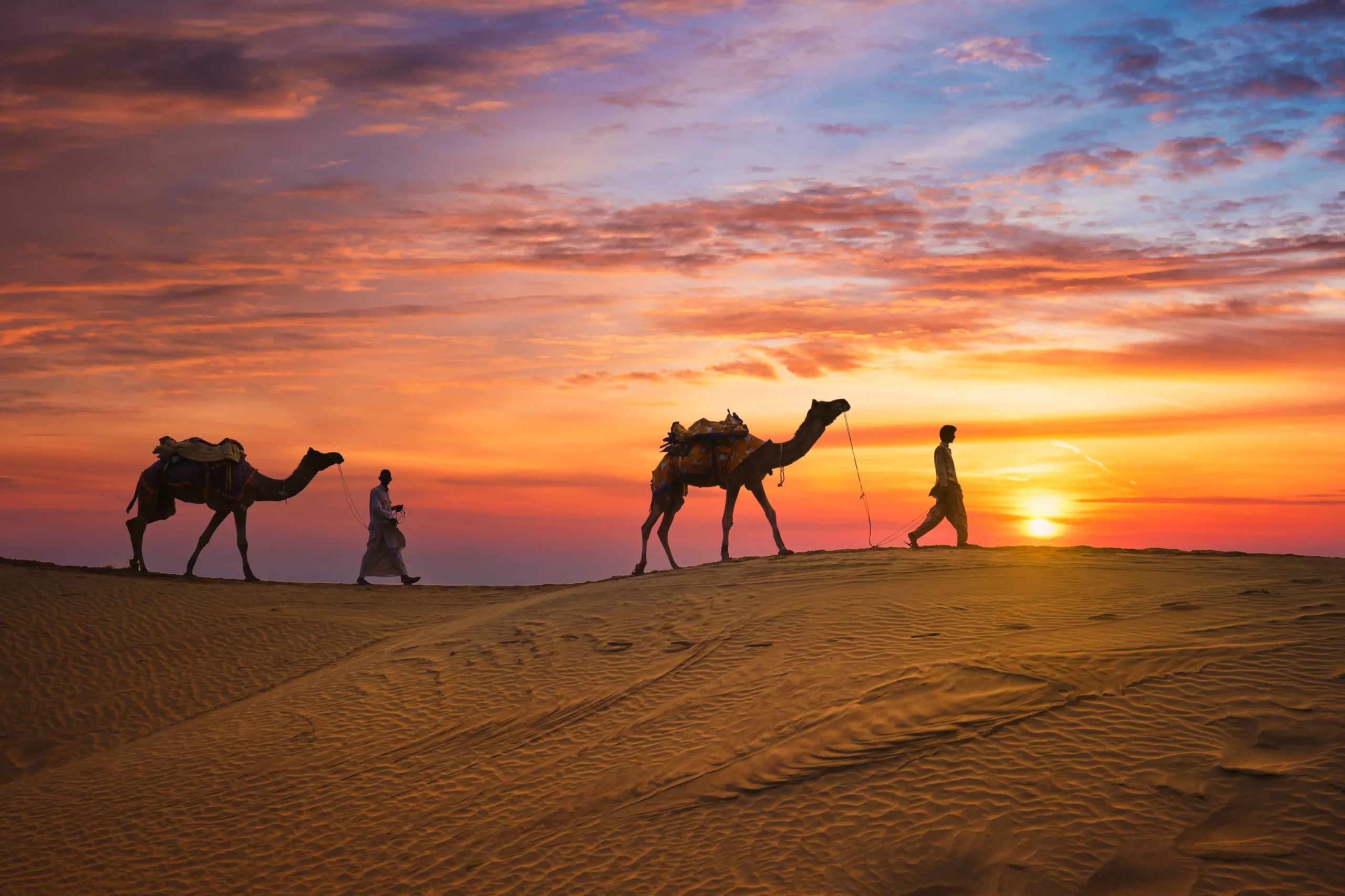 Tramonto in cammello nel deserto del Thar a Jaisalmer