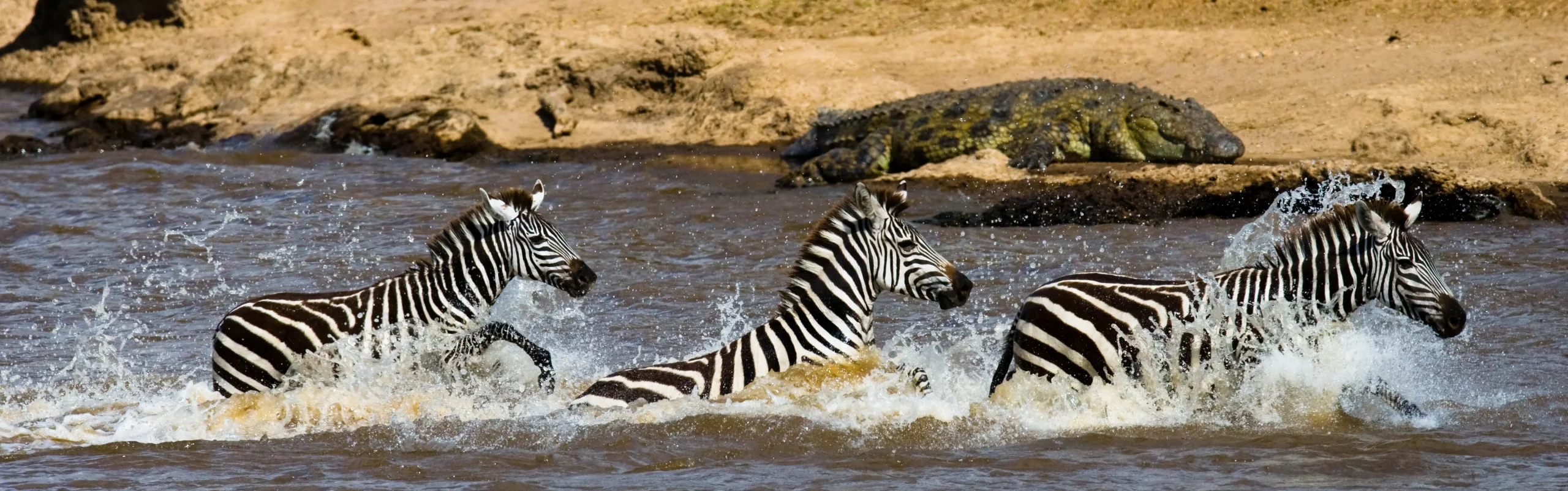 Avvistamenti lungo il suggestivo fiume Mara nel cuore della savana africana