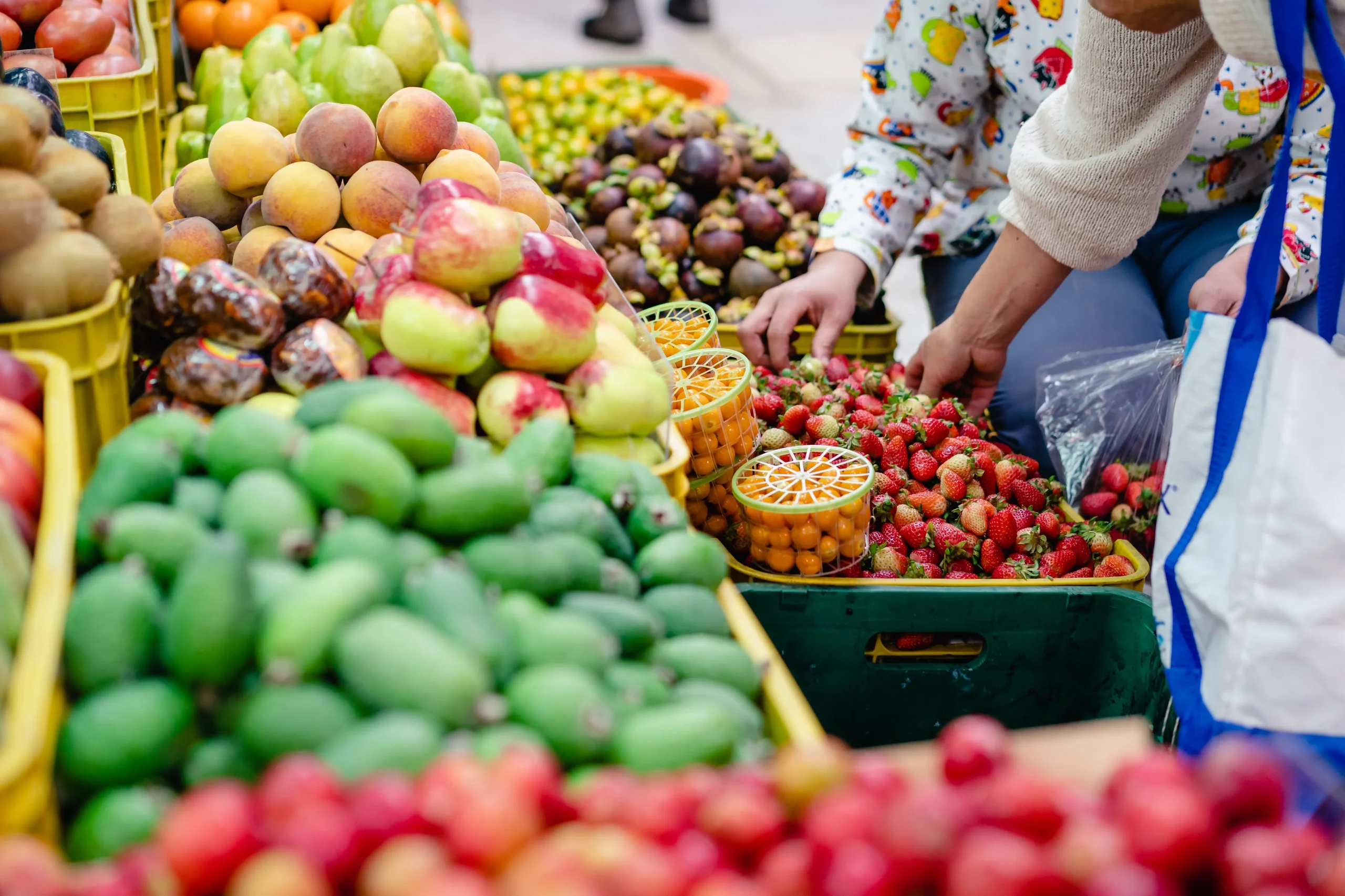 Incontro con la comunità Guambiana e il mercato di Silvia