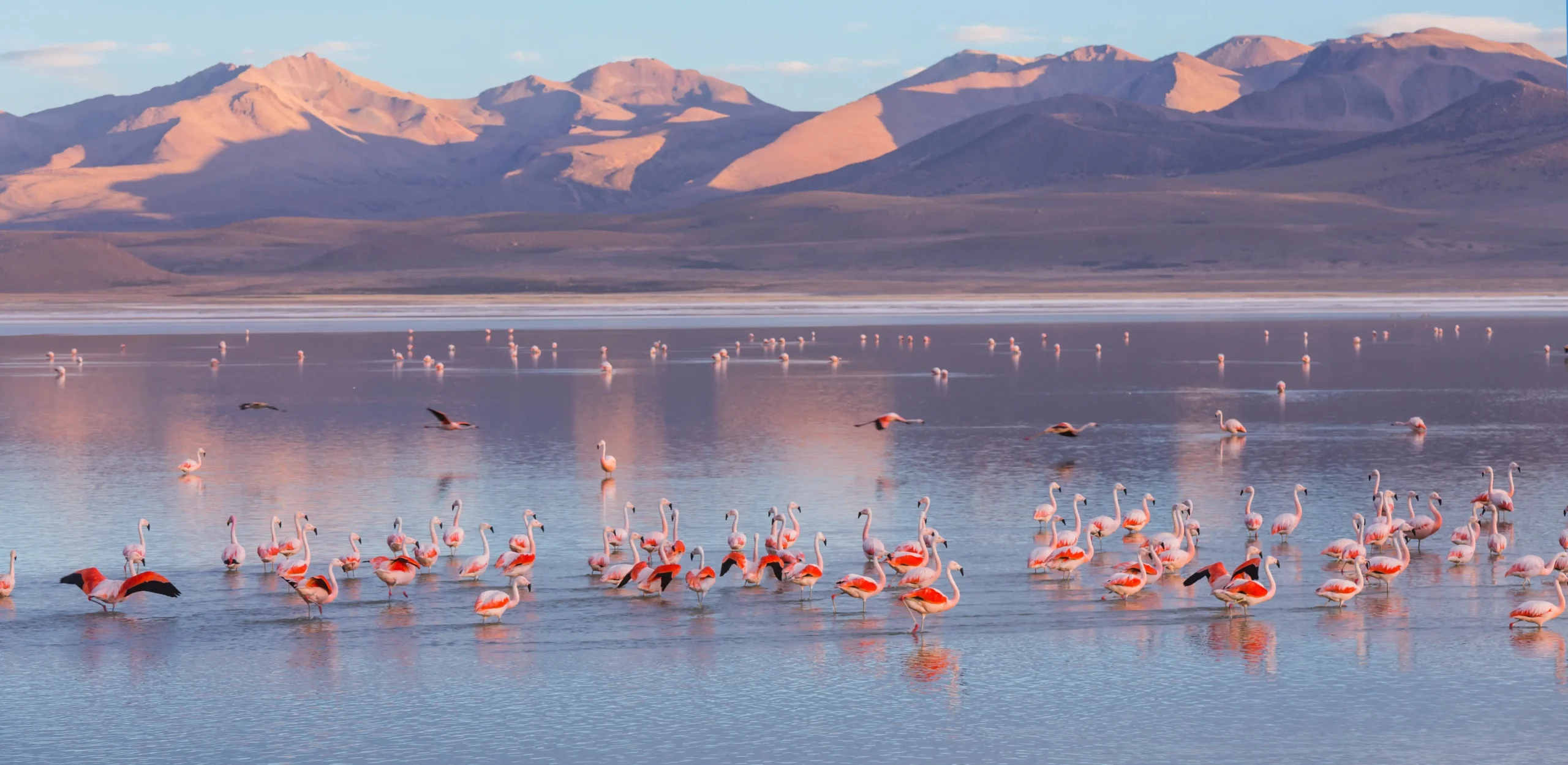 L'Altiplano boliviano più autentico