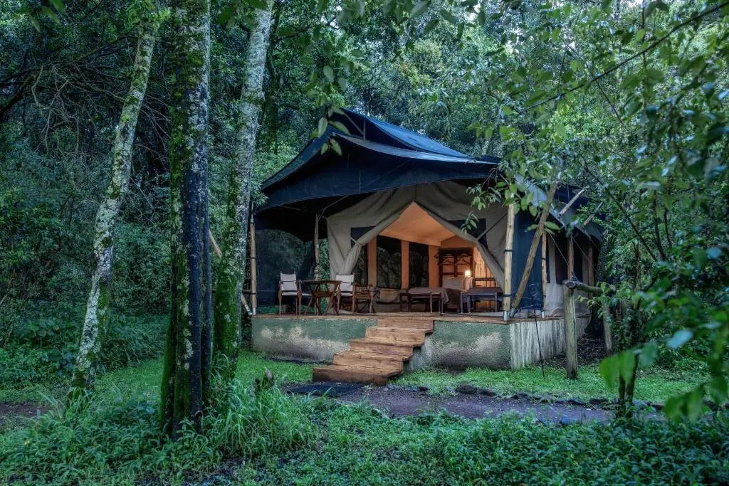 Elephant Pepper Camp