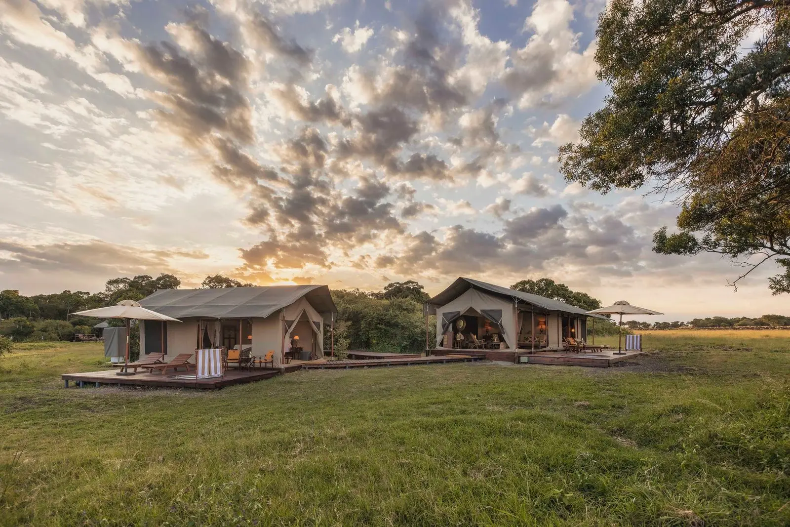 Little Elephant Pepper Camp