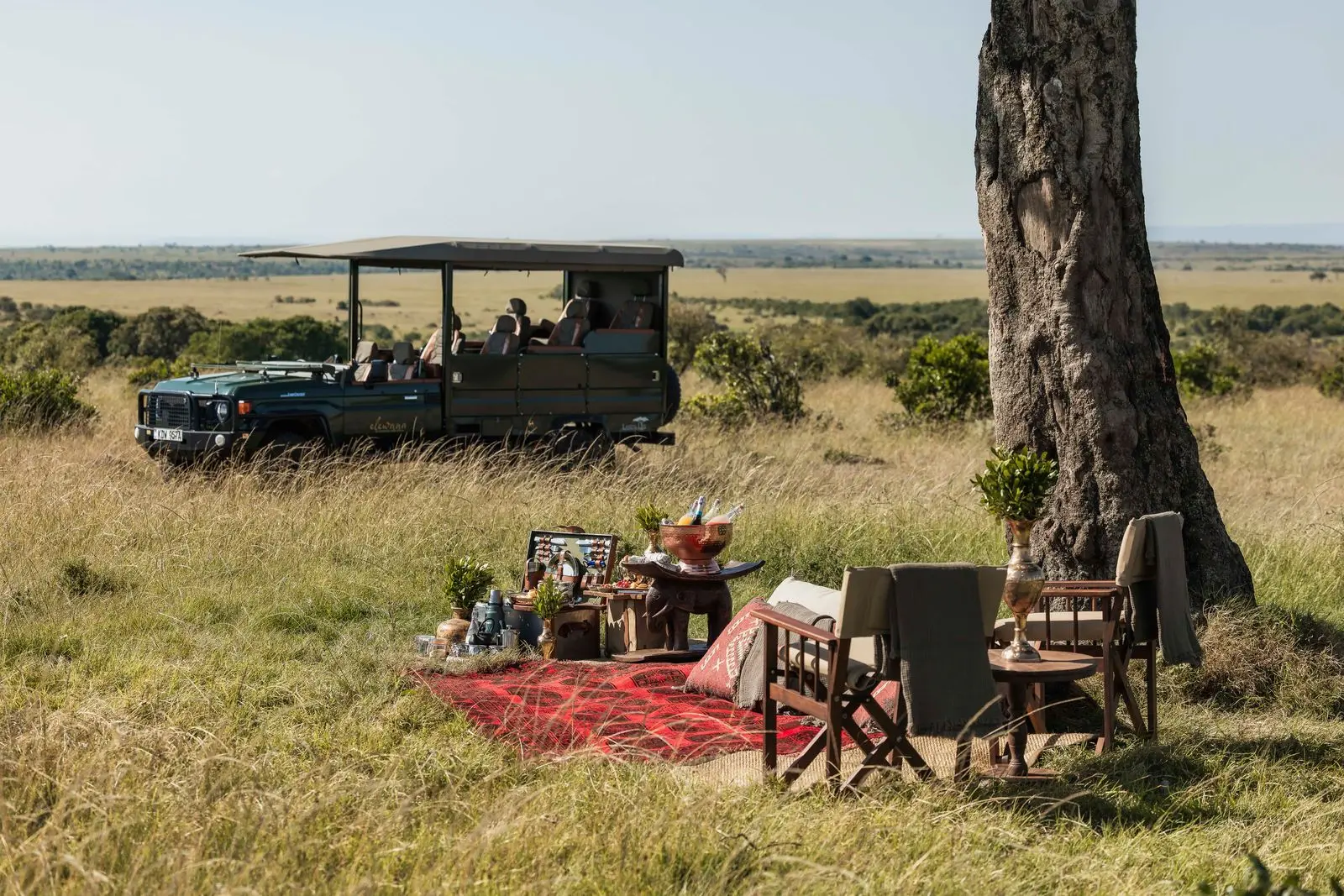 Little Elephant Pepper Camp