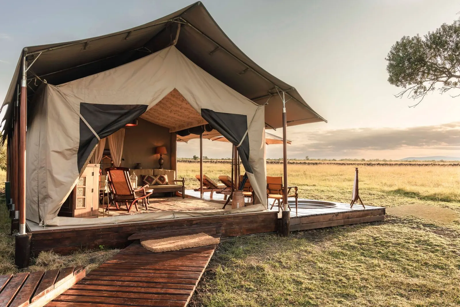 Little Elephant Pepper Camp