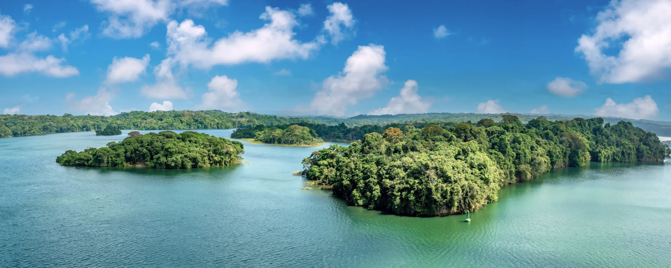 La foresta pluviale e il Lago Gatún
